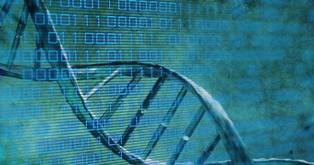 Image of dna rotating over binary code on green background