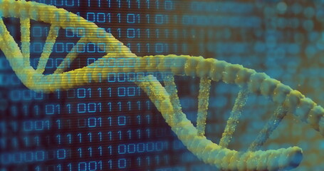 Image of binary coding data processing over dna strand spinning