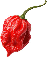 Carolina reaper pepper