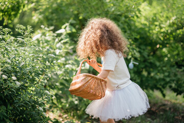 Easter egg hunt. Girl child Wearing Bunny Ears Running To Pick Up Egg In Garden. Easter tradition. Baby with basket full of colorful eggs. - 757831577