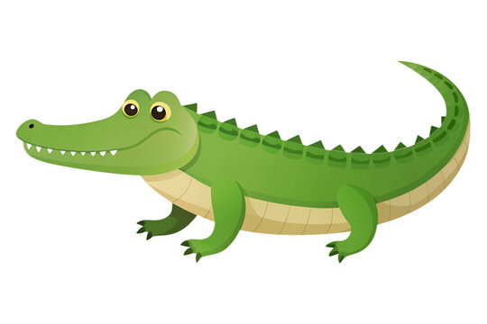 cartoon crocodile  on a transparent background
