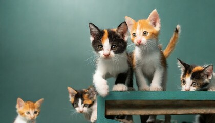 Curious Kittens Exploring Their Surroundings