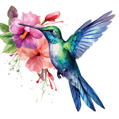 Watercolor Tropical Hummingbird Clipart isolated on w
