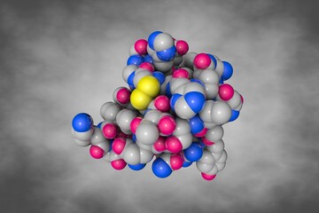 Human insulin. Space-filling molecular model on gray background. Rendering based on protein data bank entry 3i3z. Scientific background. 3d illustration