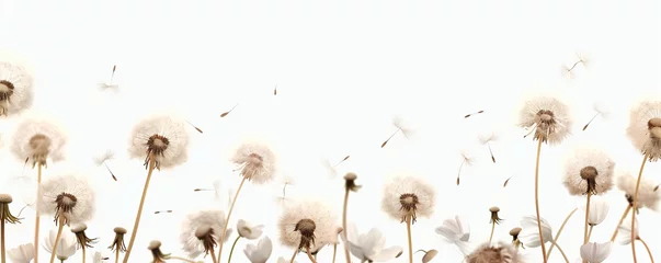 Fotobehang Soft and light spring background with Dandelions Generative Ai  © LayerAce.com