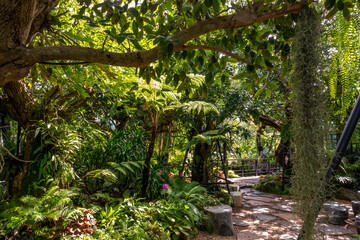 path in the garden