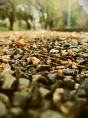 An Abstract Closeup Of Gravel On The Ground 