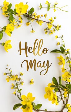 Abstract background with watercolor colorful splashes and flowers. Hello May handwritten modern calligraphy lettering. Spring concept background.