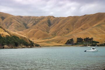 Picton, New Zealand - 757854795