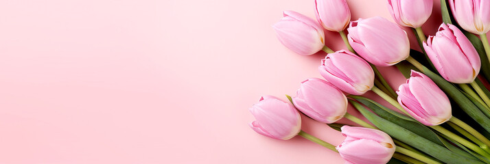 Pink and White Tulips