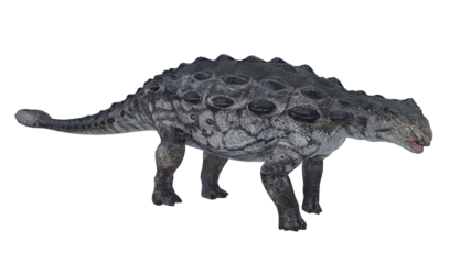 view of a dinosaur ankylosaurus