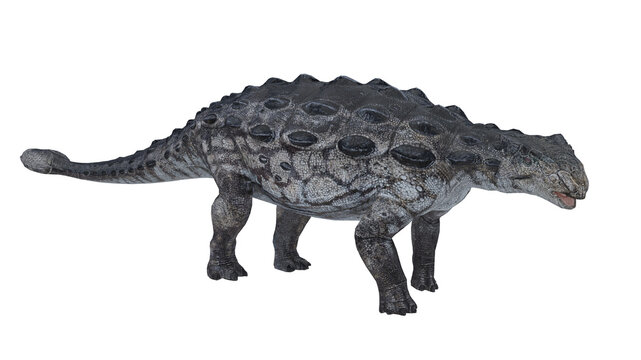 view of a dinosaur ankylosaurus