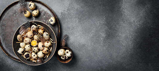 Easter concept. A set of quail eggs and feathers on a concrete table. Top view.