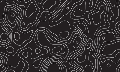 Topographic map patterns, topography line map, suitable for background design an any needs