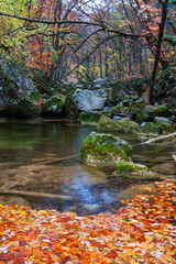 autumn scene on mountain river - 757863968