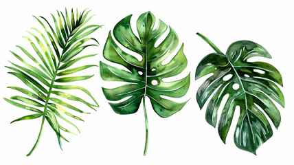 collection of watercolor of exotic plants and palm leaves.