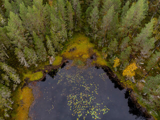 The tarn with the water lilies