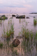 The shallow shoreline on the coast of Norrland on a summer night. Ratu/ Robertsfors / Västerbotten,