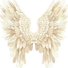 Angel Wings Clipart Clipart isolated on white background