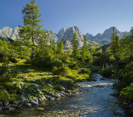 Geißbach, Mieminger Gebirge, Tirol, Österreich