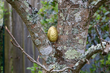 Chocolate egg hidden between the branches of a tree for Easter - 757884334