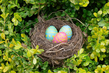 Nest with chocolate eggs in a garden for Easter - 757884522