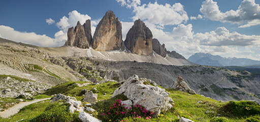 Drei Zinnen, Wiese, Almenrausch, Südtirol, Dolomiten, Italien
