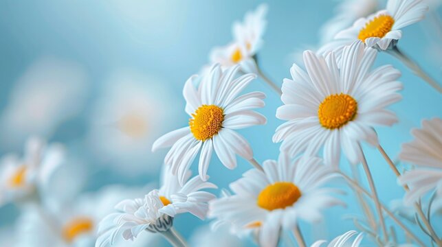 Daisy Delight A Fresh and Vibrant Flower Arrangement for a Springy Start Generative AI
