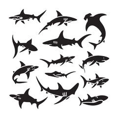 Obraz premium Hammerhead Horizon: Vector Silhouettes of Sleek Shark for Oceanic Enthusiasts and Creative Designs, Hammerhead shark vector illustration.