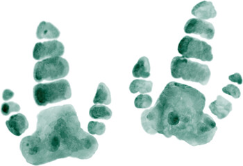 Dinosaur footprints . Watercolor painting illustration . © stockdevil