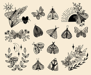 Set of mystical celestial moths, flowers and branches, vector floral and fauna illustration, mystical floral elements - 757893918