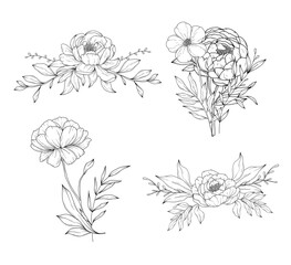Collection of peony flowers bouquets and flower compositions, hand drawn botanical  line art drawing, vector floral illustration - 757894199