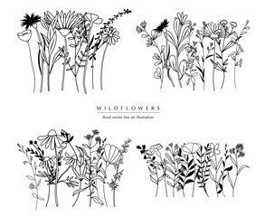 Botanical abstract line art compositions, minimal floral borders of hand drawn herbs, flowers, leaves and branches; vector illustration - 757895100