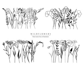 Botanical abstract line art compositions, minimal floral borders of hand drawn herbs, flowers, leaves and branches; vector illustration - 757895123