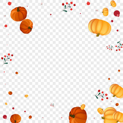 Gold Pumpkin Background Transparent Vector. Yellow Nature Set. Red Gourd Maple Template. Leaves Decorative. Harvest Illustration.