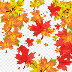 Green Floral Background Transparent Vector. Plant Bright Card. Yellow Collection Foliage. Design Leaf Texture.