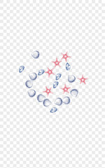 Ultramarine Clam Background Transparent Vector. Snail Watercolor Pattern. Drawn Illustration. Blue Seashell Decoration Wallpaper. Orange Starfish.