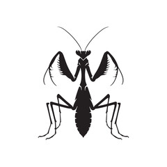 Mantis Vector Silhouette: A Shadowy Dance of Nature's Grace Captured in Vector Silhouette..