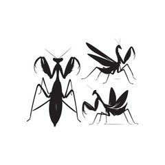 Mantis Vector Silhouette: A Shadowy Dance of Nature's Grace Captured in Vector Silhouette..