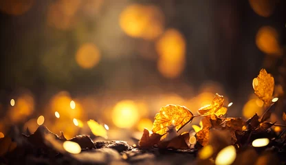 Foto op Aluminium Abstract autumn background, beautiful countryside nature with autumnal leaves and bokeh, generative ai © Anneleven
