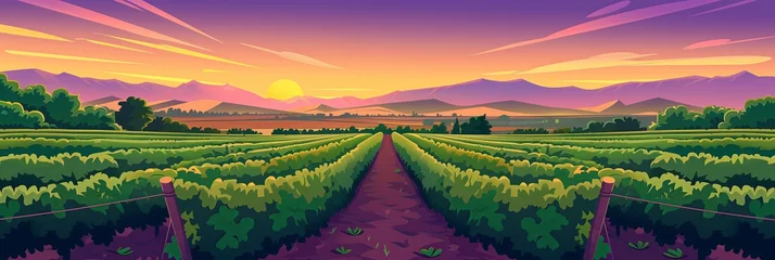 Fotobehang Sunset Over Vineyards: A Picturesque Illustration of Agricultural Beauty – Perfect for Wine and Travel Content © Rade Kolbas