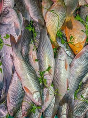 freshwater fish selling on local bazaar.this photo was taken from Chittagong,Bangladesh.