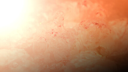 Fototapeta premium Abstract nude and peach fuzz color gradient background. Water surface. Clear water surface texture with splashes and bubbles.
