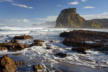 Fototapeta na wymiar Lion Rock, Piha, Auckland, Nordinsel, Neuseeland