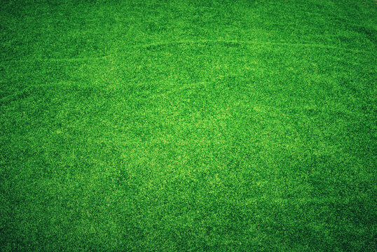 green grass background texture pattern 