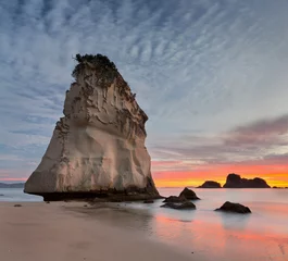 Deurstickers Cathedral Cove, Hahei, Coromadel Peninsula, Waikato, Nordinsel, Neuseeland © Rainer Mirau