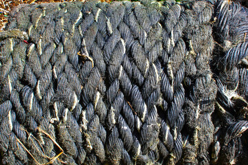 Coil of old rope