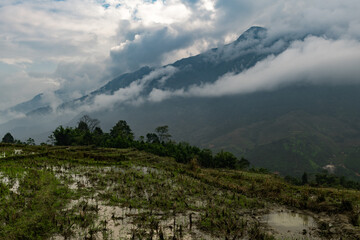 A flooded rice paddy and distant mountain in northwest Vietnam.