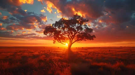 Fototapeten sunset in the savannah © Christian