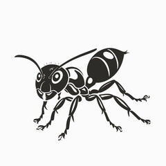 ant insect vector illustration